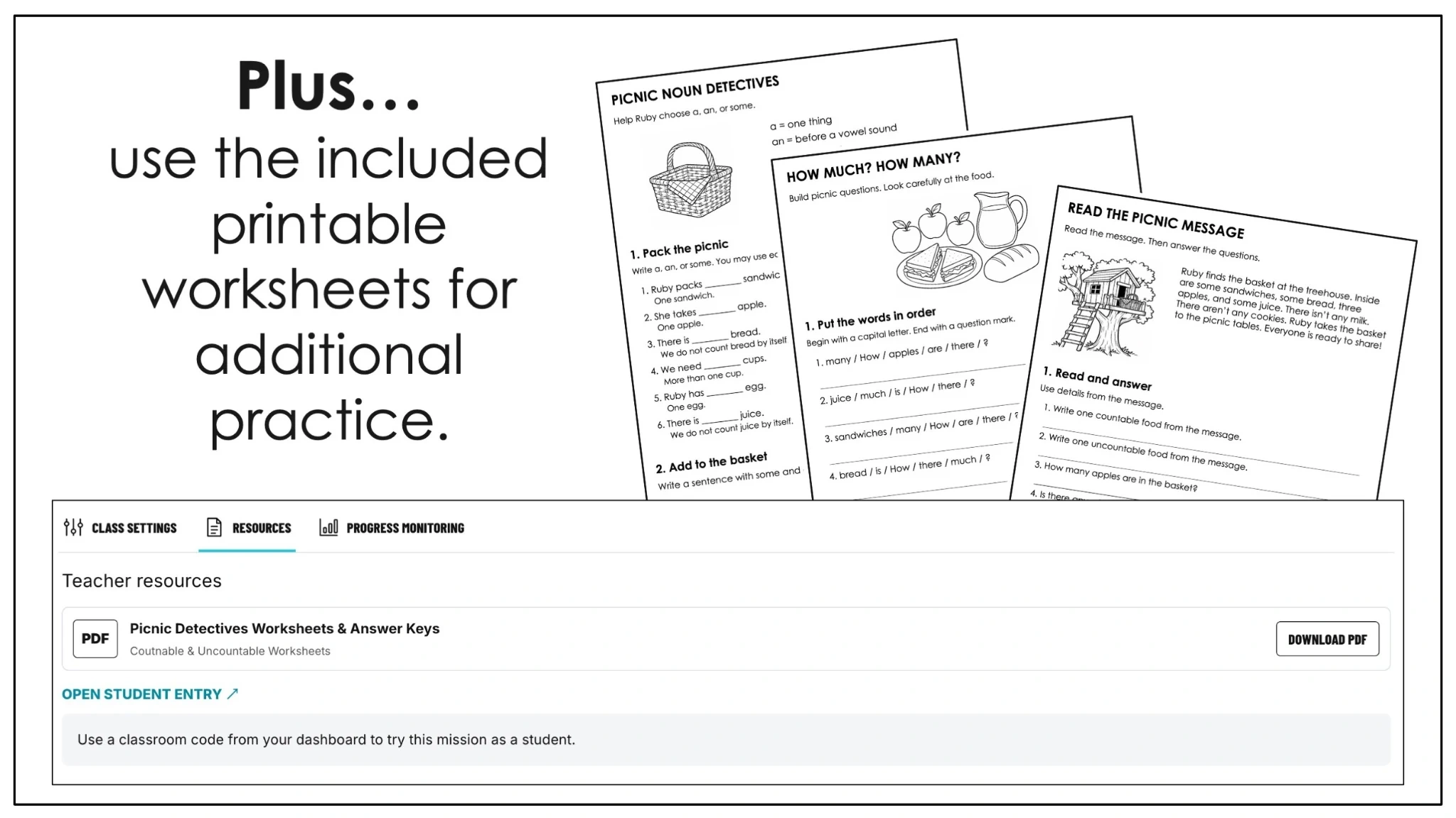 Printable picnic noun worksheets and teacher resource download